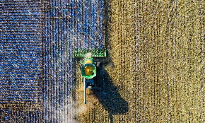 Italian Agriculture Company